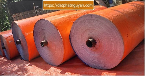 Giải mã sức hút bền bỉ của bạt xanh cam